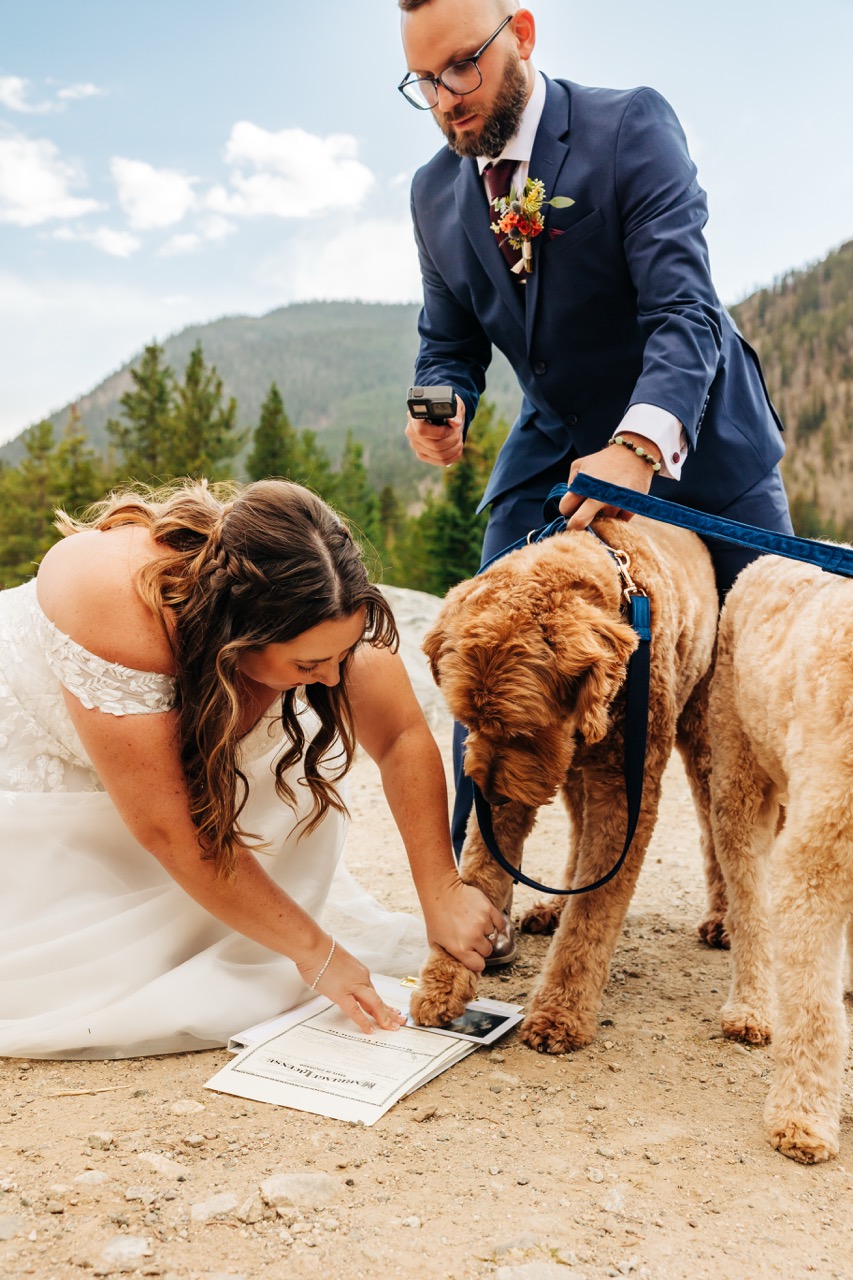 Denver Elopement Photographer captures bride helping dogs sign wedding certificate