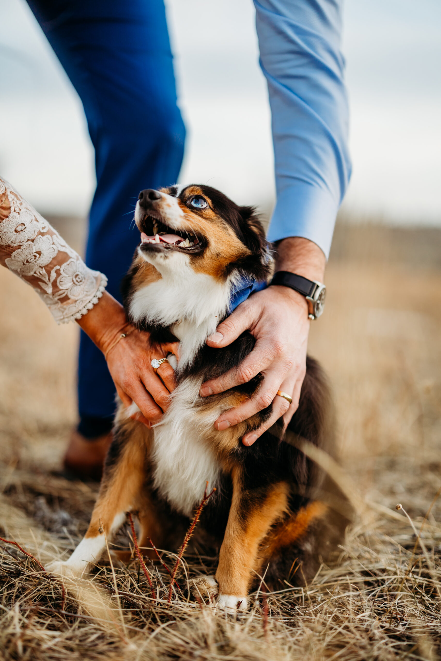 Denver wedding photographer captures couple petting puppy