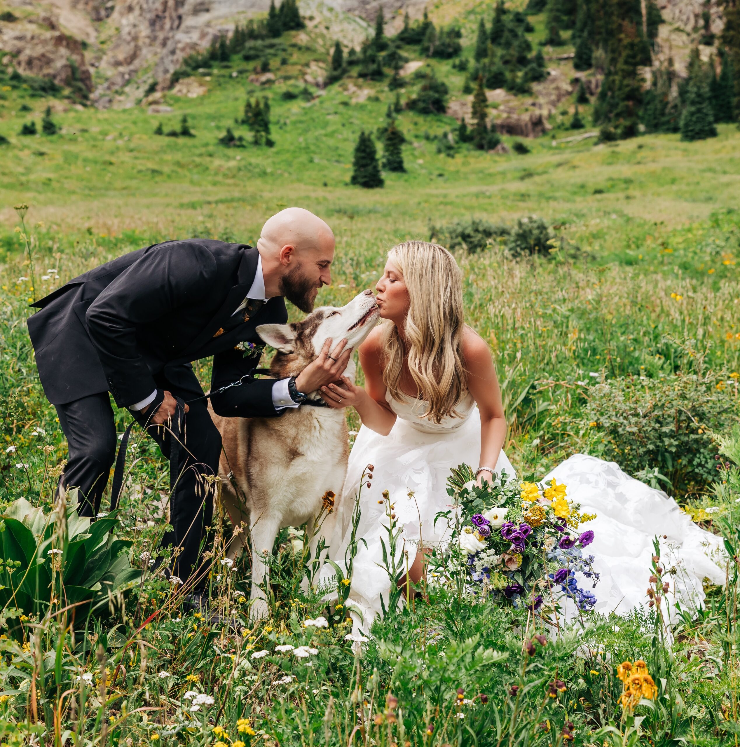 Bride and groom share a kiss with a friendly goat in a lush alpine meadow surrounded by wildflowers and mountain views.