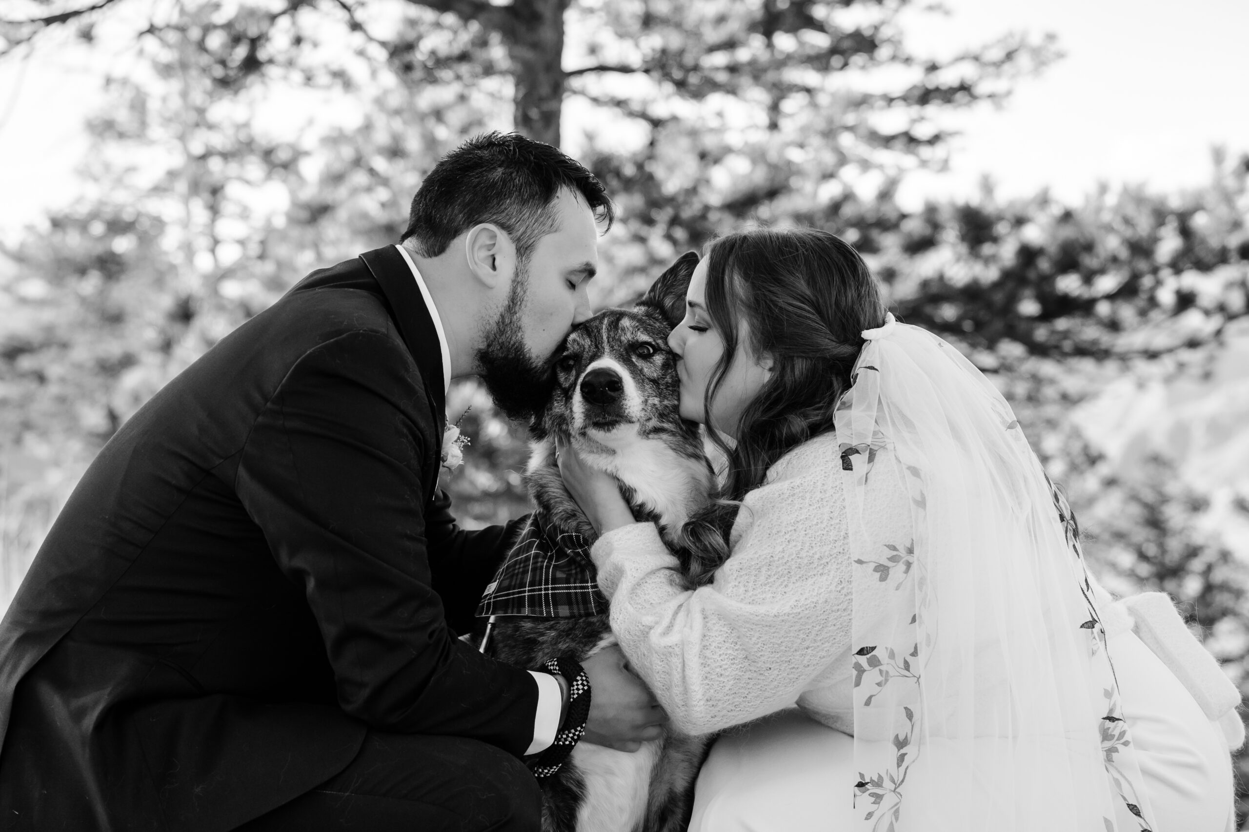Bride and groom kneel to kiss their dog, who wears a plaid bandana, in a sweet forest moment.